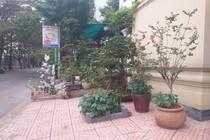 Vỉa hè đô thị bị chiếm dụng làm “vườn nhà”?