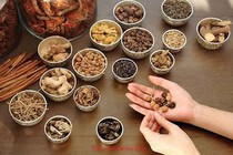Bài thuốc đông y chữa bệnh trĩ rất hiệu quả