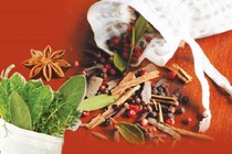 Túi thuốc bảo vệ sức khỏe mùa đông
