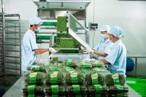 Sắp tổ chức triển lãm về công nghệ đóng gói nông sản xuất khẩu