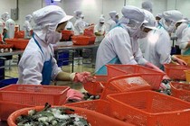 Xuất khẩu thủy sản giảm, siêu thị trong nước... chê