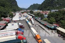 Chỉ 1 lỗi đánh máy sai, nông dân gánh chịu bao hậu quả