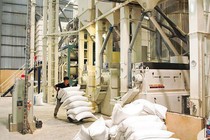 Thanh tra Bộ Tài chính: Làm rõ nghi vấn thông đồng giữa các Cục Dự trữ Nhà nước và doanh nghiệp