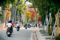 Thời tiết ngày 19/11: Bắc Bộ sáng sớm có sương mù nhẹ, trưa chiều trời nắng