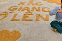 Độc đáo lời cổ vũ "Bắc Giang cố lên" từ... sân phơi lúa