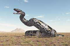 Phát hiện hoá thạch rắn khổng lồ 47 triệu năm gây kinh ngạc giới khảo cổ