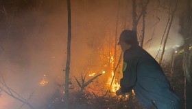 Cháy rừng ở Cà Mau, hơn 600 người căng mình dập lửa