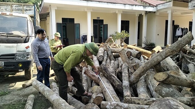 Thanh Hóa: Mở rộng điều tra vụ phá rừng tự nhiên ảnh 2
