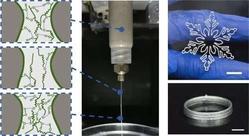 Mực kim loại-alginate lỏng mới cho phép in 3D thiết bị điện tử lên vải ảnh 1