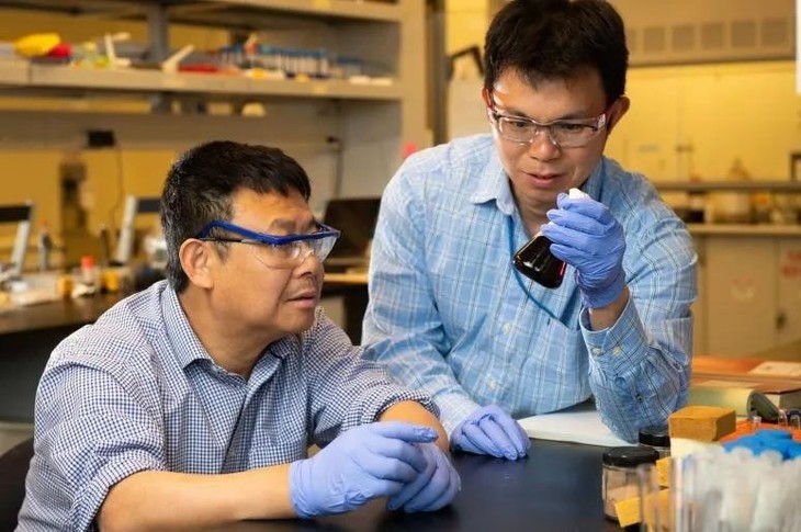 Enzyme nhân tạo mới phá vỡ lignin cứng trong thực vật gỗ cứng ảnh 1