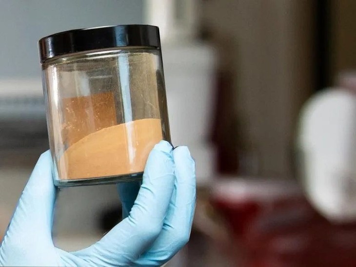 Enzyme nhân tạo mới phá vỡ lignin cứng trong thực vật gỗ cứng ảnh 2