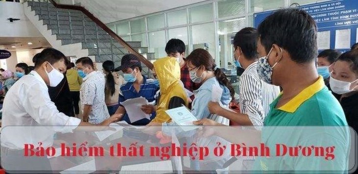 Yêu cầu Bình Dương thu hồi 6,1 tỉ đồng trợ cấp thất nghiệp chi sai ảnh 1 bao-hiem-that-nghiep.jpg