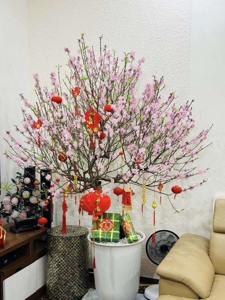 Góc nhỏ phòng khách đầy hoa tươi trong nhà NSND Công Lý ngày cận Tết