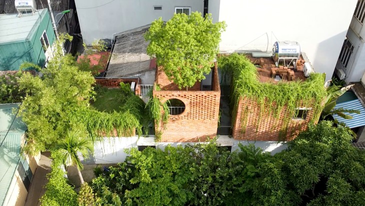 Nhà trong ngõ nhỏ Hà Nội sở hữu nhiều khu vườn xanh mướt