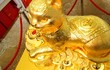 Cận cảnh tượng mèo vàng khổng lồ 48 kg gây sốt ngày Thần Tài