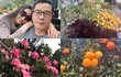 Tận mục biệt thự ngập hoa trái của Hà Thanh Xuân ở Mỹ