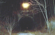 Chi tiết rùng mình về 4 con đường hầm ma quái nhất hành tinh 