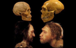 Người Neanderthal tuyệt chủng vì quan hệ tình cảm với... loài người? 