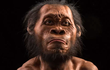 Phát hiện cực sốc trong hang “loài người ma” 230.000 tuổi