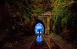 Du khách tò mò đổ xô tới đường hầm đom đóm Helensburgh 
