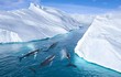 Tò mò những âm thanh kỳ lạ ở Bắc Cực và Nam Cực