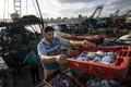 Cận cảnh cuộc sống ngư dân Gaza sau lệnh ngừng bắn Israel - Hamas