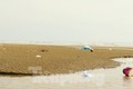 Rác ngổn ngang trên bãi biển Hà Tĩnh