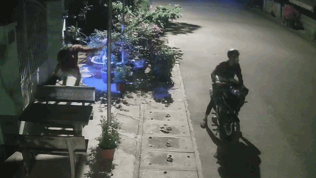 Video: Trộm chích điện, bắt chó trong 15 giây ở TP.HCM
