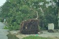 Quảng Nam - Đà Nẵng: Những thiệt hại ban đầu sau bão Noru đổ bộ