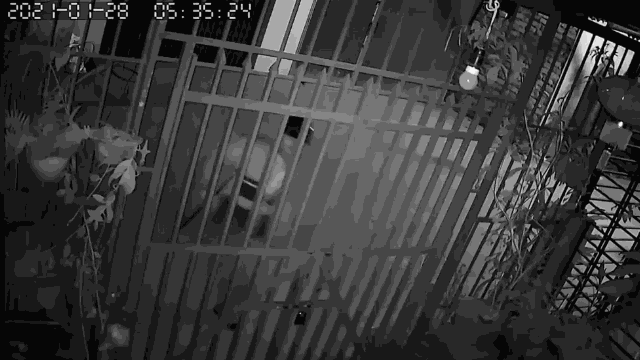 Video: Thanh niên đạp cửa xông vào nhà dân bắt trộm chó