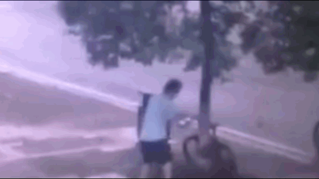Video: "Chơi lớn", thanh niên cưa đổ cây trên phố để trộm xe đạp