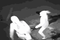 Video: Rủ nhau đi ăn trộm, thanh niên bị đồng bọn ném gạch trúng đầu