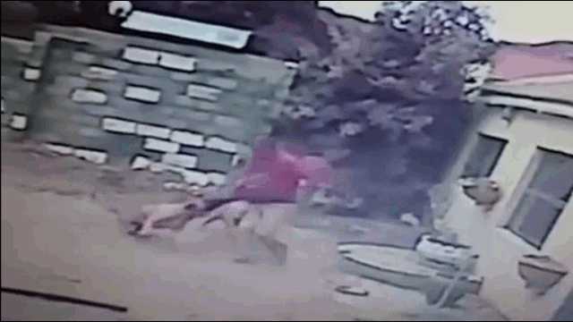 Video: Đi trộm gặp ngay chó dữ, nam thanh niên nhận kết đắng
