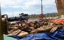 Ảnh: Cảnh chất thải công nghiệp đóng gói ngập tràn Formosa