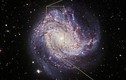 Sửng sốt lỗ đen bùng phát trong thiên hà xoắn ốc M83