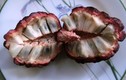 Độc lạ những loại quả màu tím gây sốt ở Việt Nam