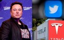 Elon Musk không thiên vị Tesla nếu Twitter có thêm quảng cáo 