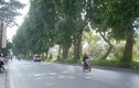 Đường phố Hà Nội bớt ngột ngạt trong ngày đầu nghỉ Tết dương lịch