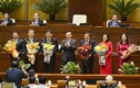 Chân dung 5 Ủy viên Ủy ban Thường vụ Quốc hội mới được bầu