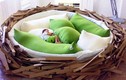 Hình ảnh những kiểu giường ngủ dị nhất quả đất