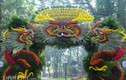 Triển lãm hoa, cây cảnh trăm triệu thu hút người dân Hà Nội
