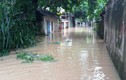 Ngập lụt ở Thanh Hóa: Nước dâng không ngừng, di dời 7.000 người