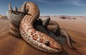 Sửng sốt bí mật của loài rắn cổ hơn 100 triệu năm