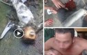 Cái kết cho nhóm người giết voọc ăn óc sống, phát video lên facebook