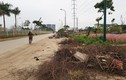 Hà Nội: Dân ngán ngẩm đi trên con đường nhếch nhác, bụi bẩn