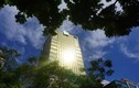 Tòa nhà ngân hàng Vietcombank “dát vàng” gây chói mắt giữa Thủ đô