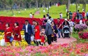 Lễ hội hoa xuân Ecopark: Không hợp gia đình trẻ nhỏ, giá cả đắt “chát“