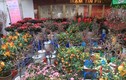 Chợ Tết lâu đời nhất Hà Nội bán những gì?