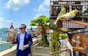 Chiêm ngưỡng chim cảnh “cực độc” nửa tỷ không bán của đại gia Hà Nội