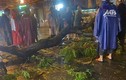 Nhánh cây xanh gãy đè 1 người tử vong trong mưa ở TP HCM